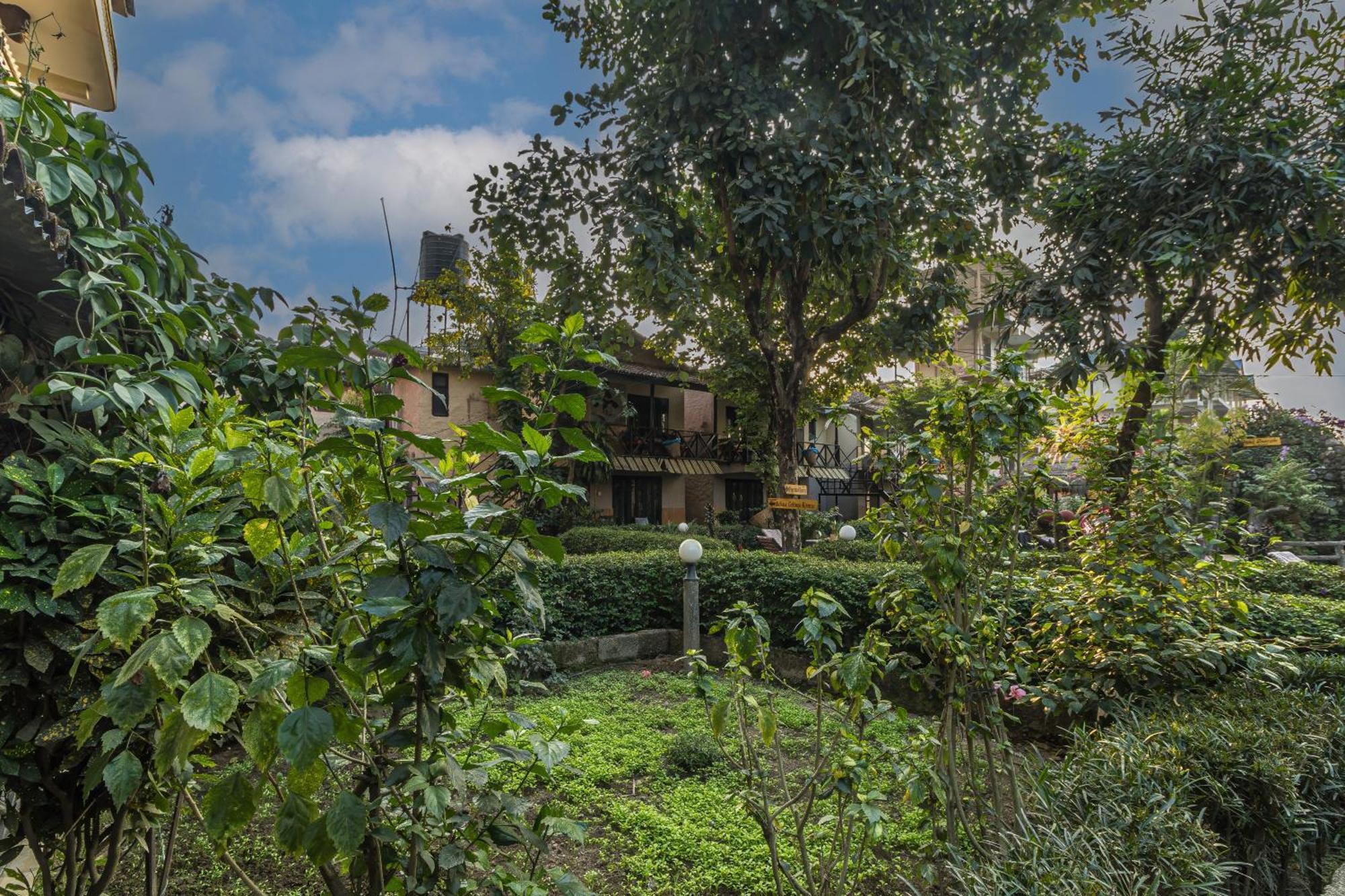 Hotel Riverside With Swimming Pool Sauraha Dış mekan fotoğraf